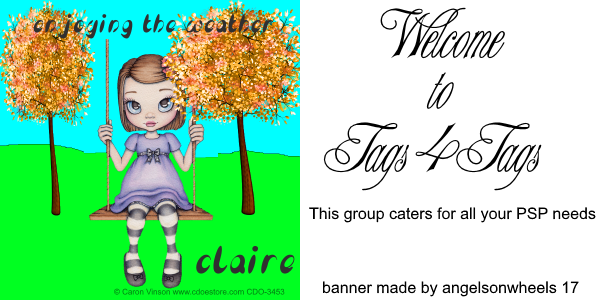 Tags4Tags banner